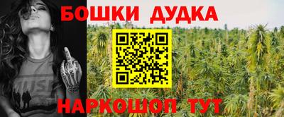 PSILOCYBIN Кингисепп