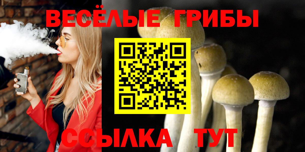 Галлюциногенные грибы мухоморы  Псилоцибиновые грибы Psilocybine cubensis  Вход с VPN  Крымск 