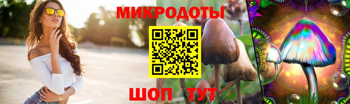 Псилоцибиновые грибы мицелий Крымск